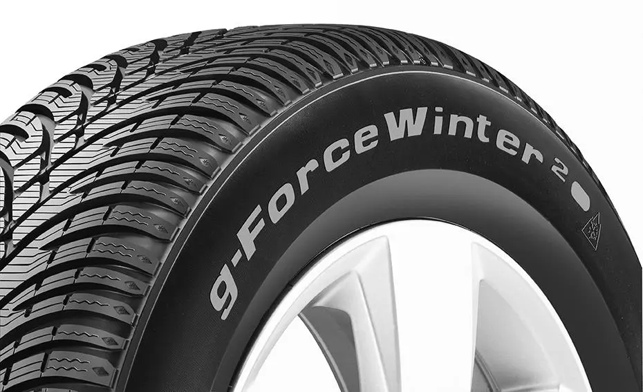 BFGoodrich G-FORCE WINTER 2 225/55R17 101V