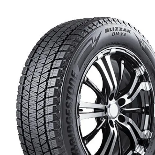 Bridgestone BLIZZAK DM-V3 315/35R20 110T