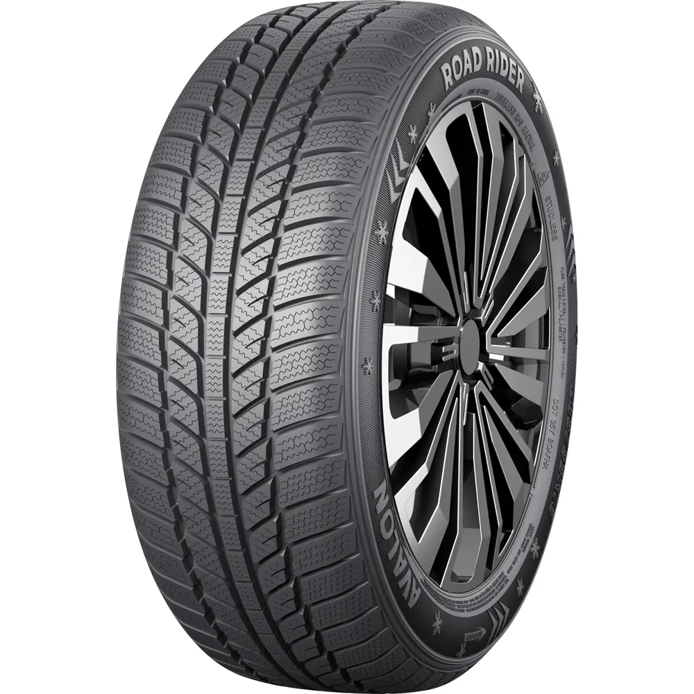 Road-Rider AVALON 195/65R15 91H